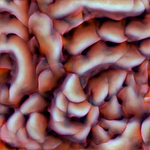 Genomes 4