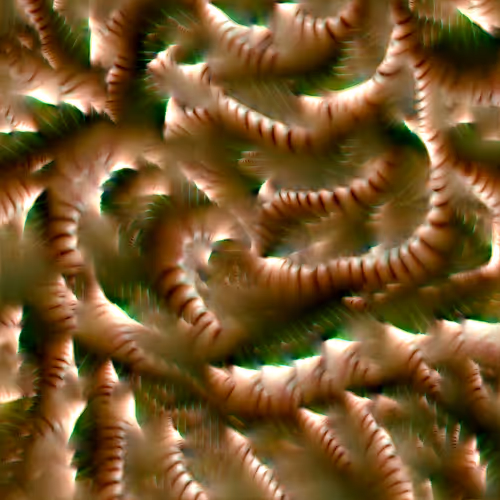 Genomes 4