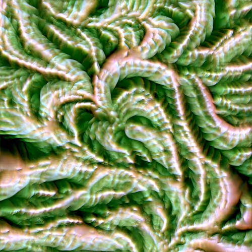 Genomes 4