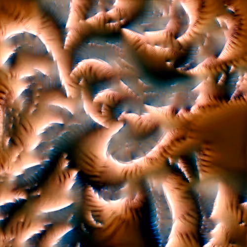 Genomes 4