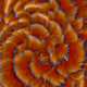 1241