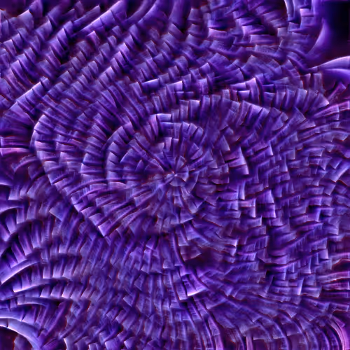 Genomes 4