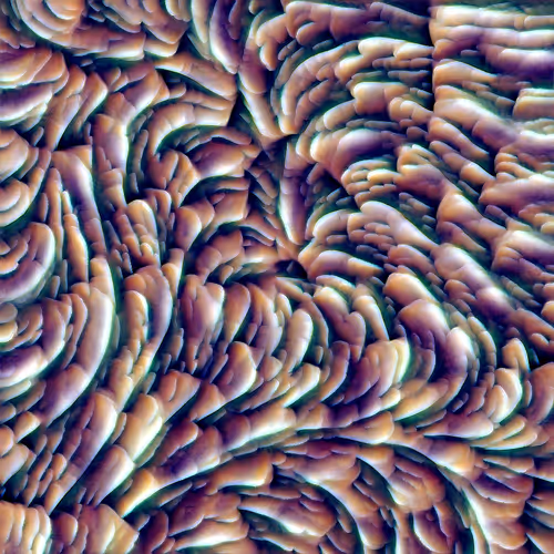 Genomes 4