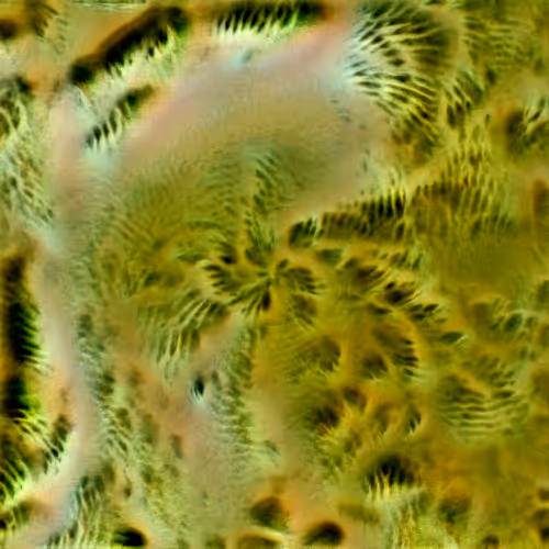 Genomes 4