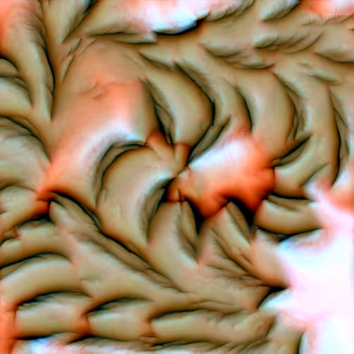 Genomes 4
