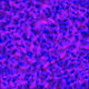 1242