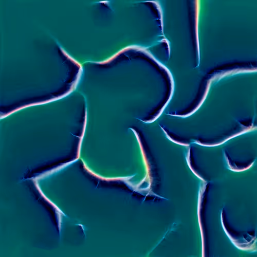 Genomes 4