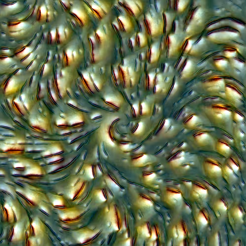 Genomes 4