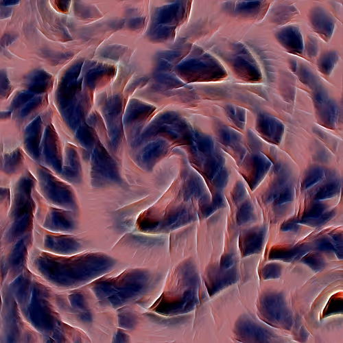 Genomes 4