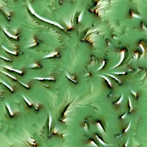 Genomes 4