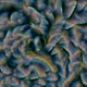 332