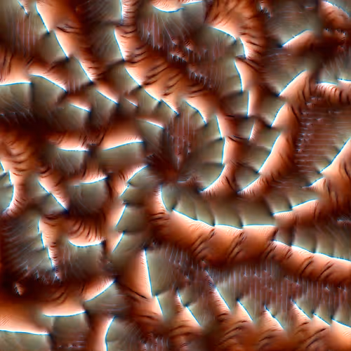 Genomes 4