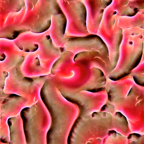 Genomes 4