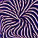 2922