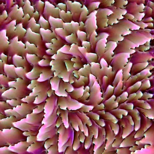 Genomes 4