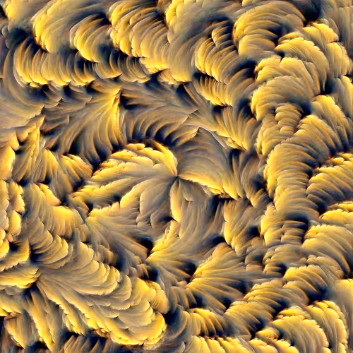 Genomes 4