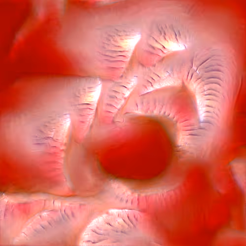 Genomes 4
