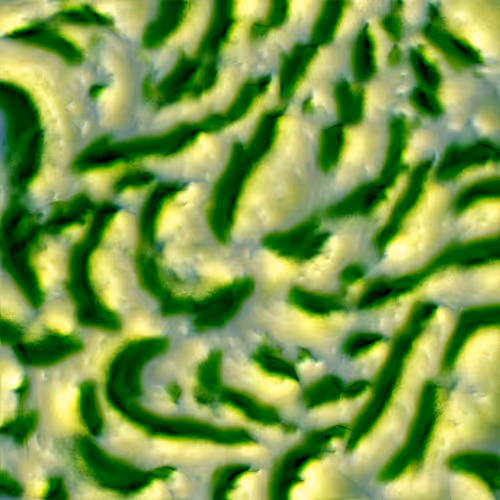 Genomes 4