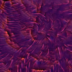 Genomes #348