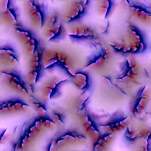 Genomes 4