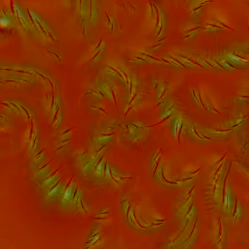 Genomes 4