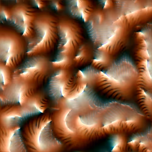 Genomes 4