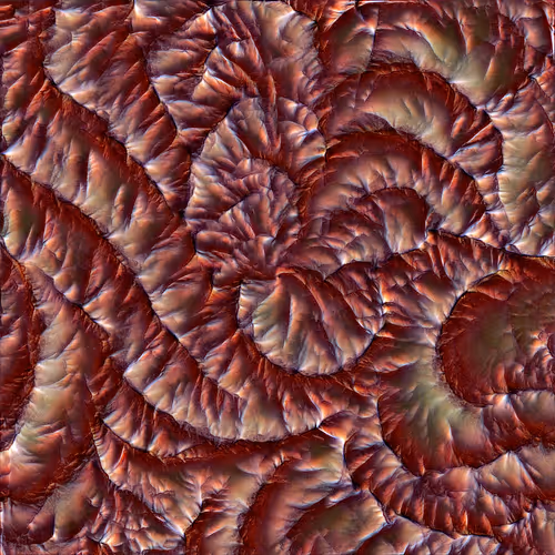 Genomes 4