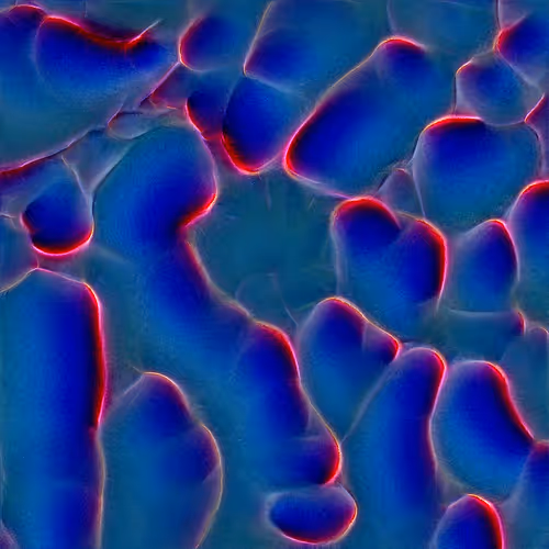 Genomes 4