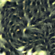 2924