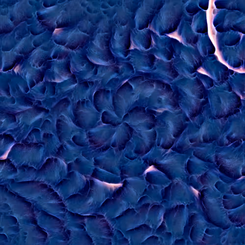 Genomes 4