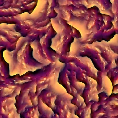 Genomes 4