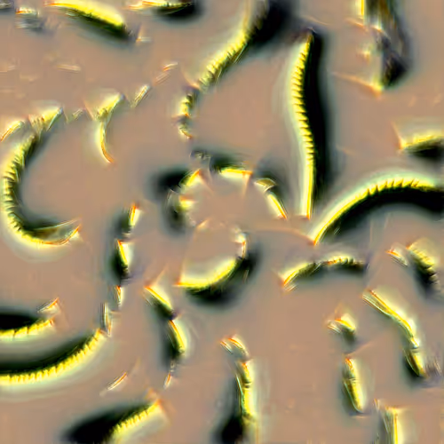 Genomes 4