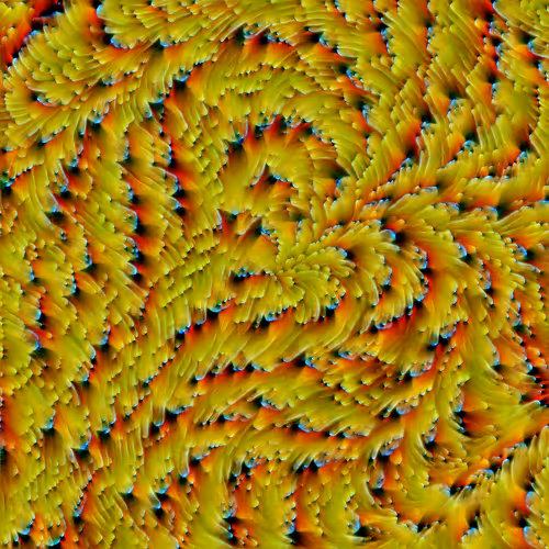 Genomes 4