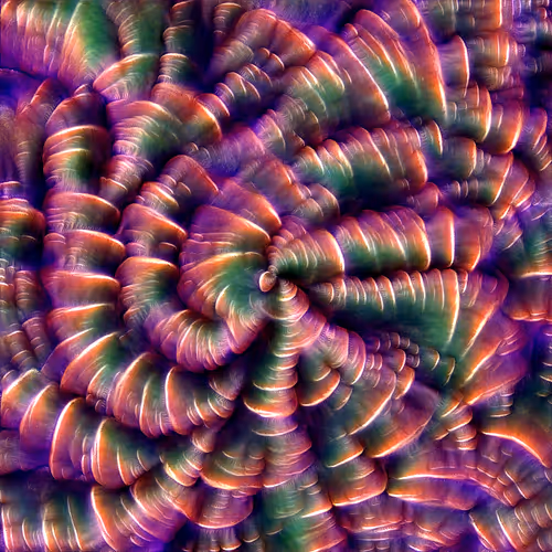 Genomes 4