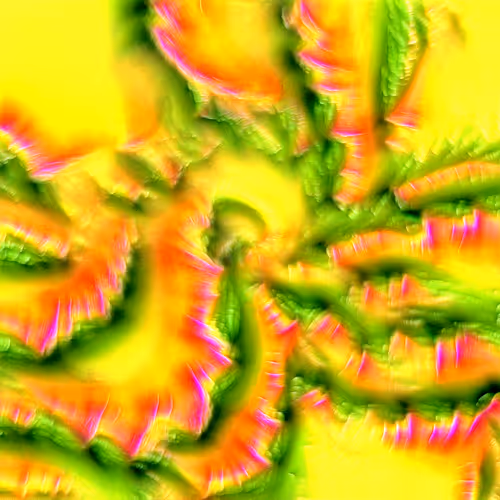 Genomes 4