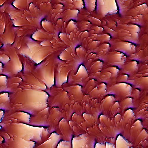 Genomes 4