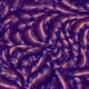 1019