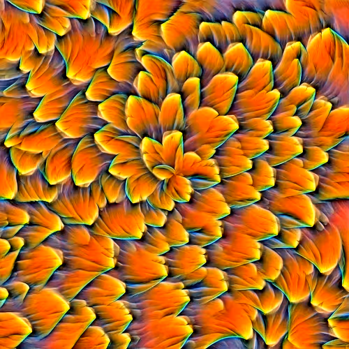 Genomes 4