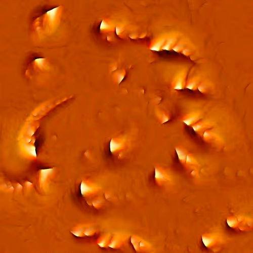 Genomes 4