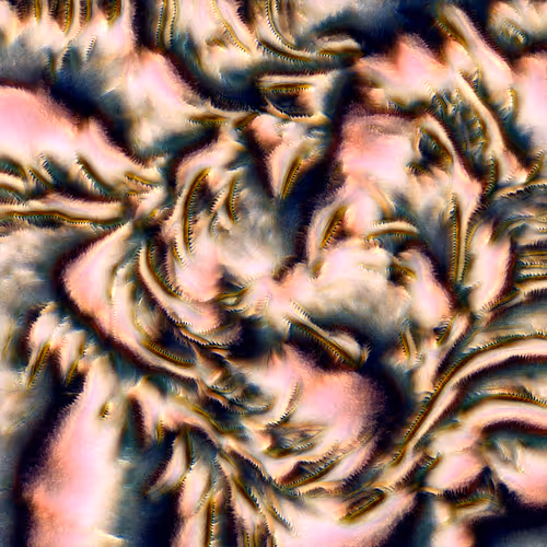 Genomes 4