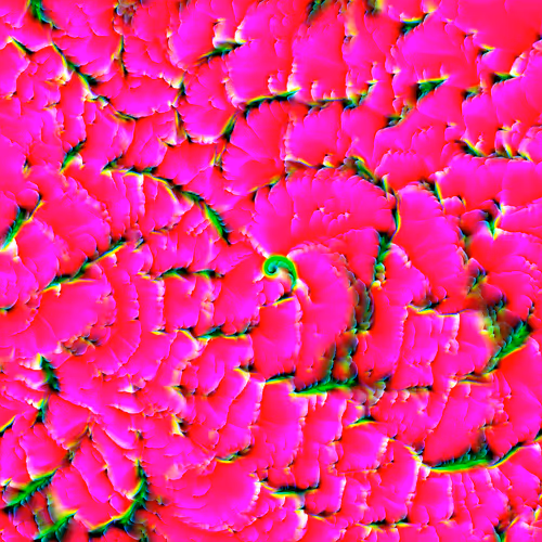 Genomes 4