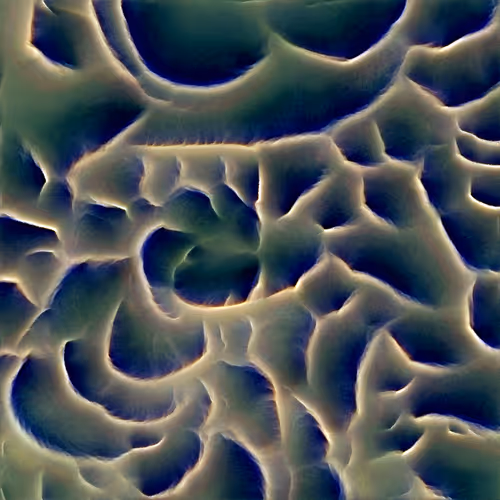 Genomes 4