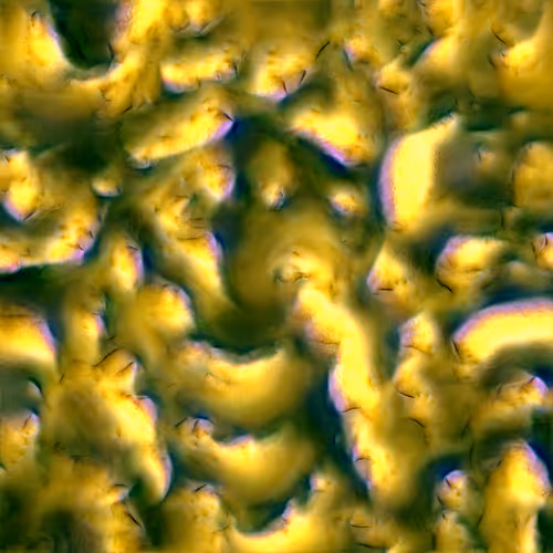 Genomes 4