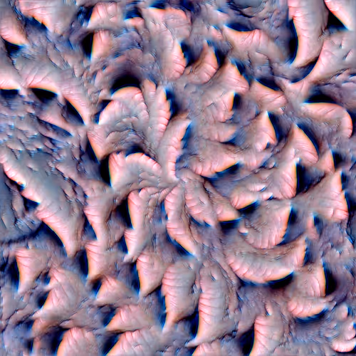Genomes 4