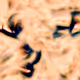 2434