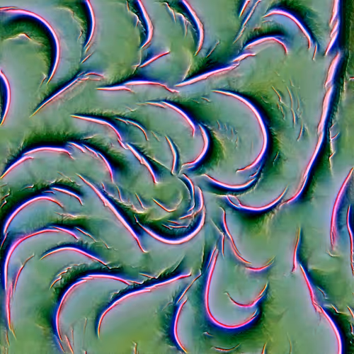 Genomes 4