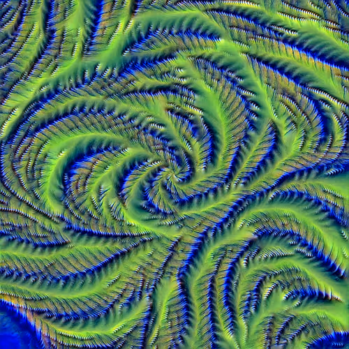 Genomes 4