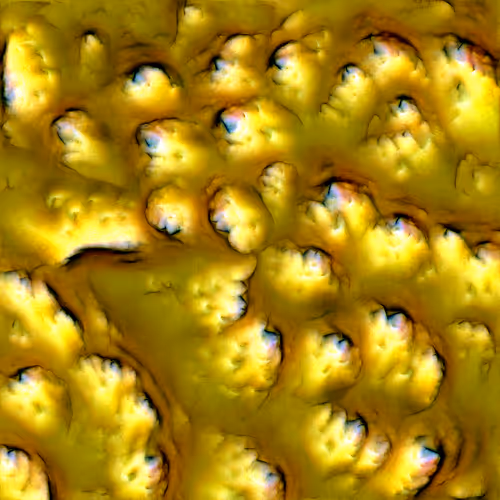 Genomes 4