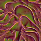 1240