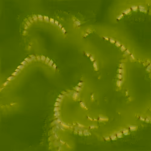 Genomes 4
